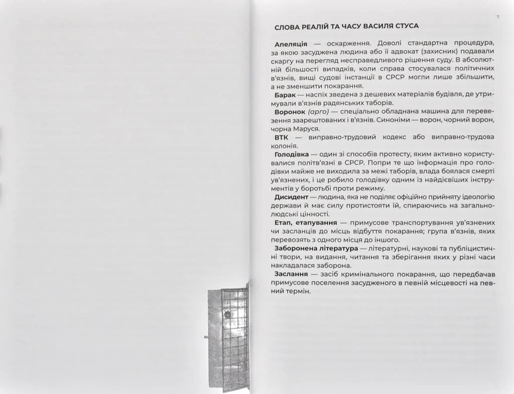 Листи до сина. Василь Стус — мініатюра 3