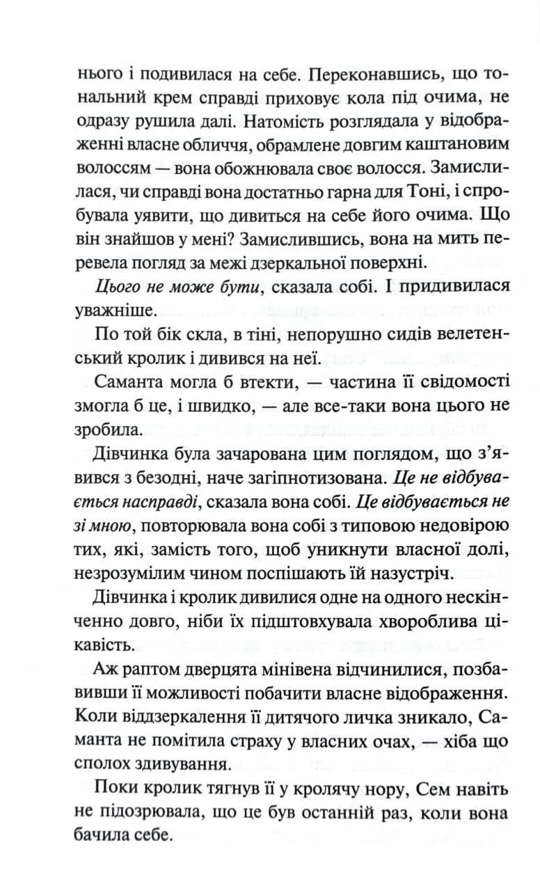 Слідство Міли Васкес. Книга 3. Людина в лабіринті — мініатюра 7