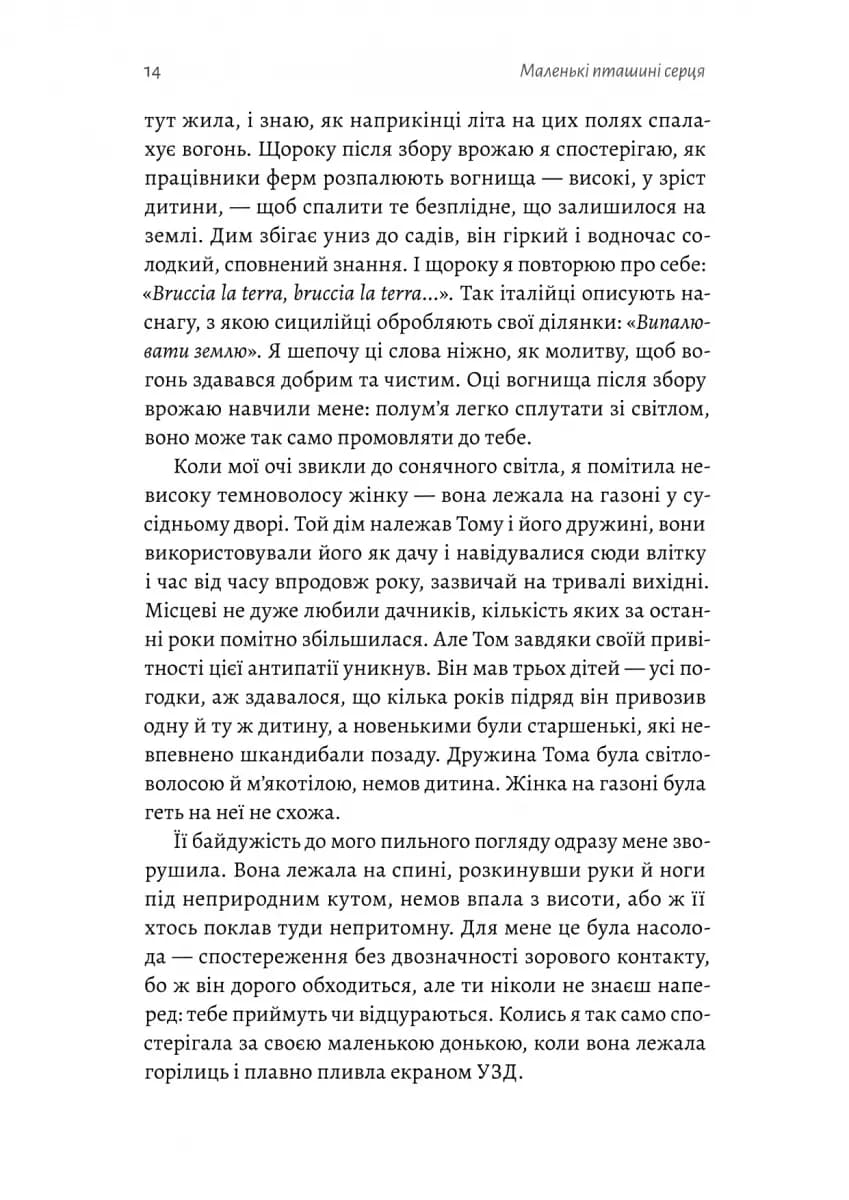 Маленькі пташині серця — мініатюра 8