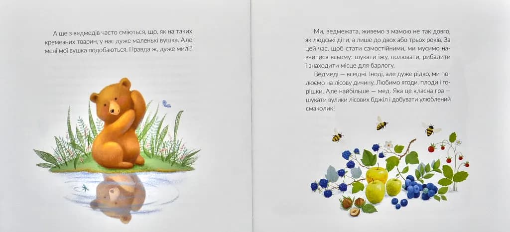 Місія Порятунок: ведмеді — мініатюра 5