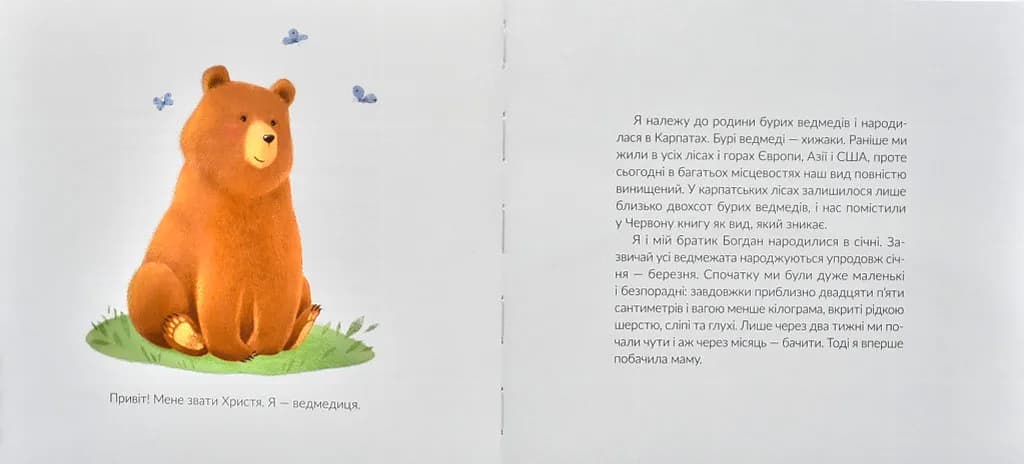 Місія Порятунок: ведмеді — мініатюра 2