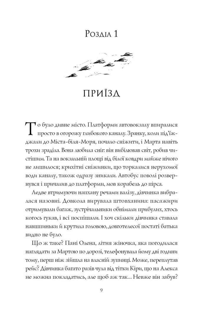 Місто тіней — мініатюра 2