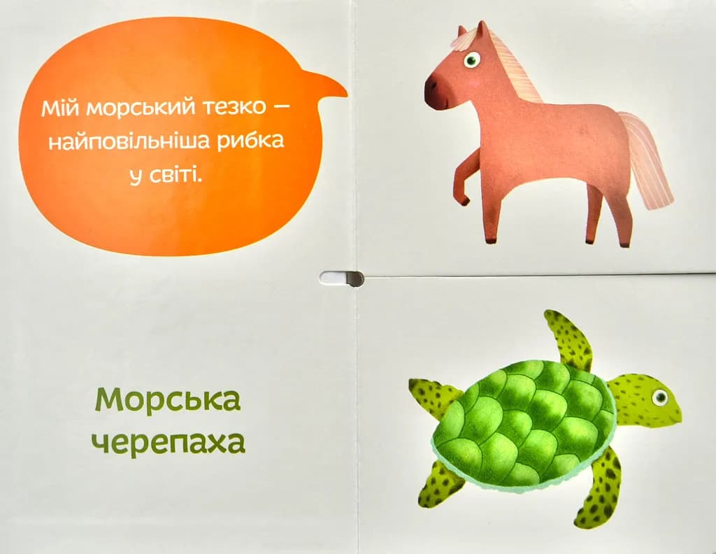 Морські тезки. Міксуй і вивчай (картон) — мініатюра 2