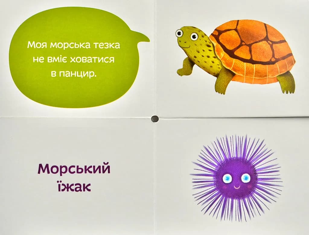 Морські тезки. Міксуй і вивчай (картон) — мініатюра 3