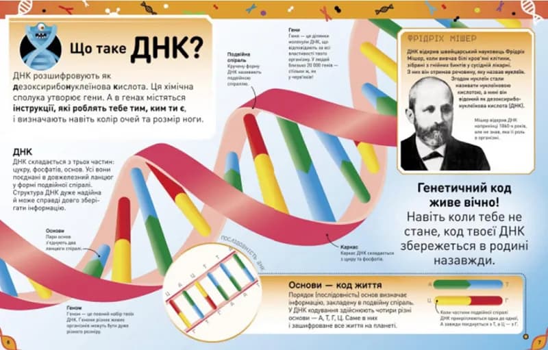 Надзвичайні ДНК. Шалені гени, незламні кодони, верткі хромосоми — мініатюра 4