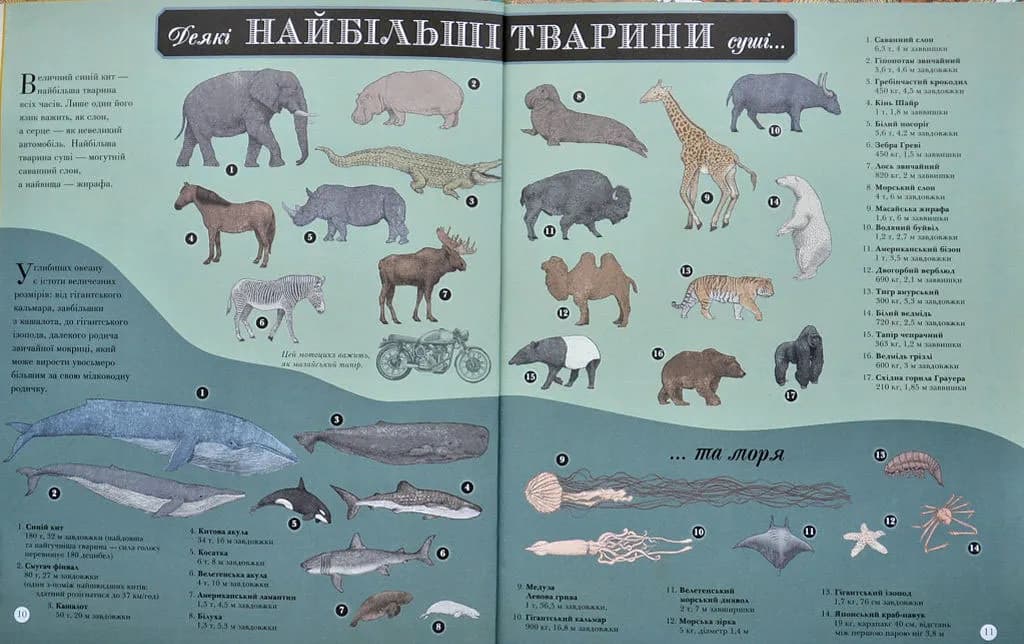 Найвища гора, Найглибший океан — мініатюра 4