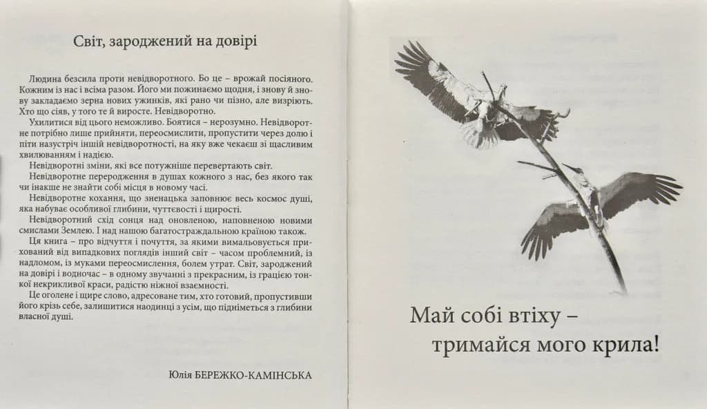 Невідворотне — мініатюра 2