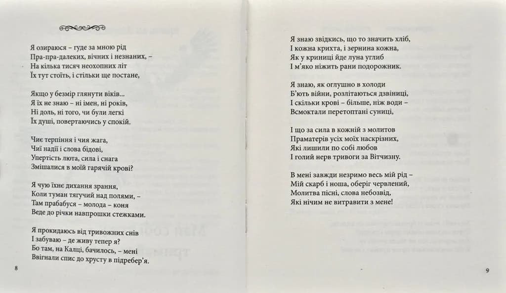 Невідворотне — мініатюра 3
