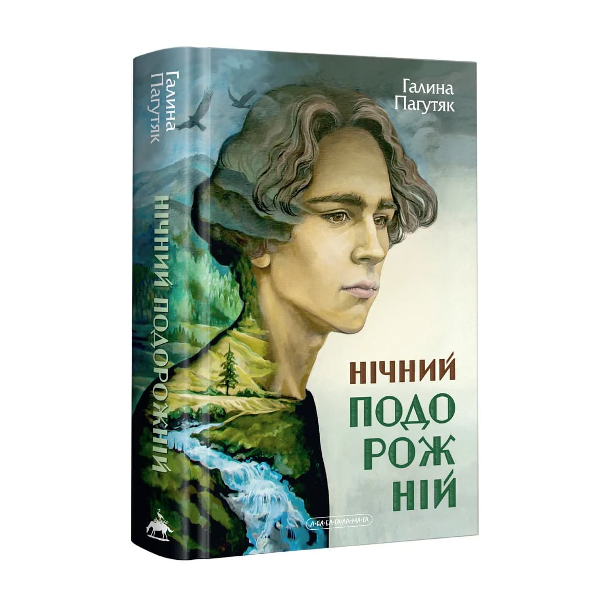 Нічний подорожній