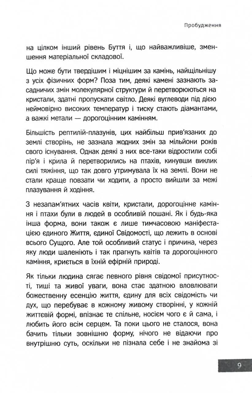 Нова земля — мініатюра 8