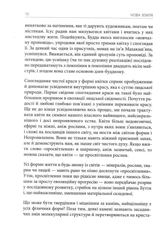 Нова земля (Екгарт Толле) — мініатюра 7