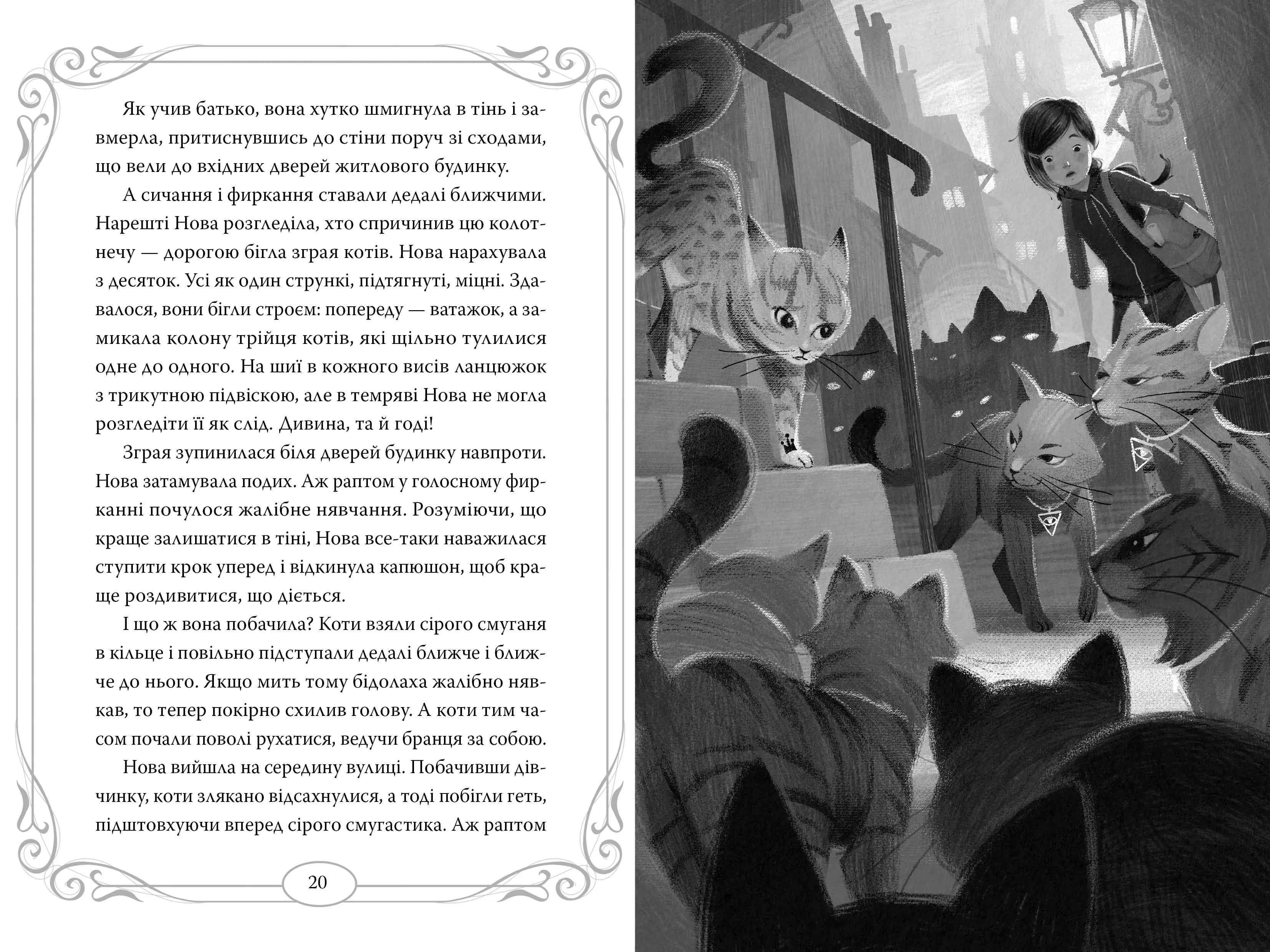Опівнічні коти. Школа фелідксів. Книга 1 — мініатюра 4