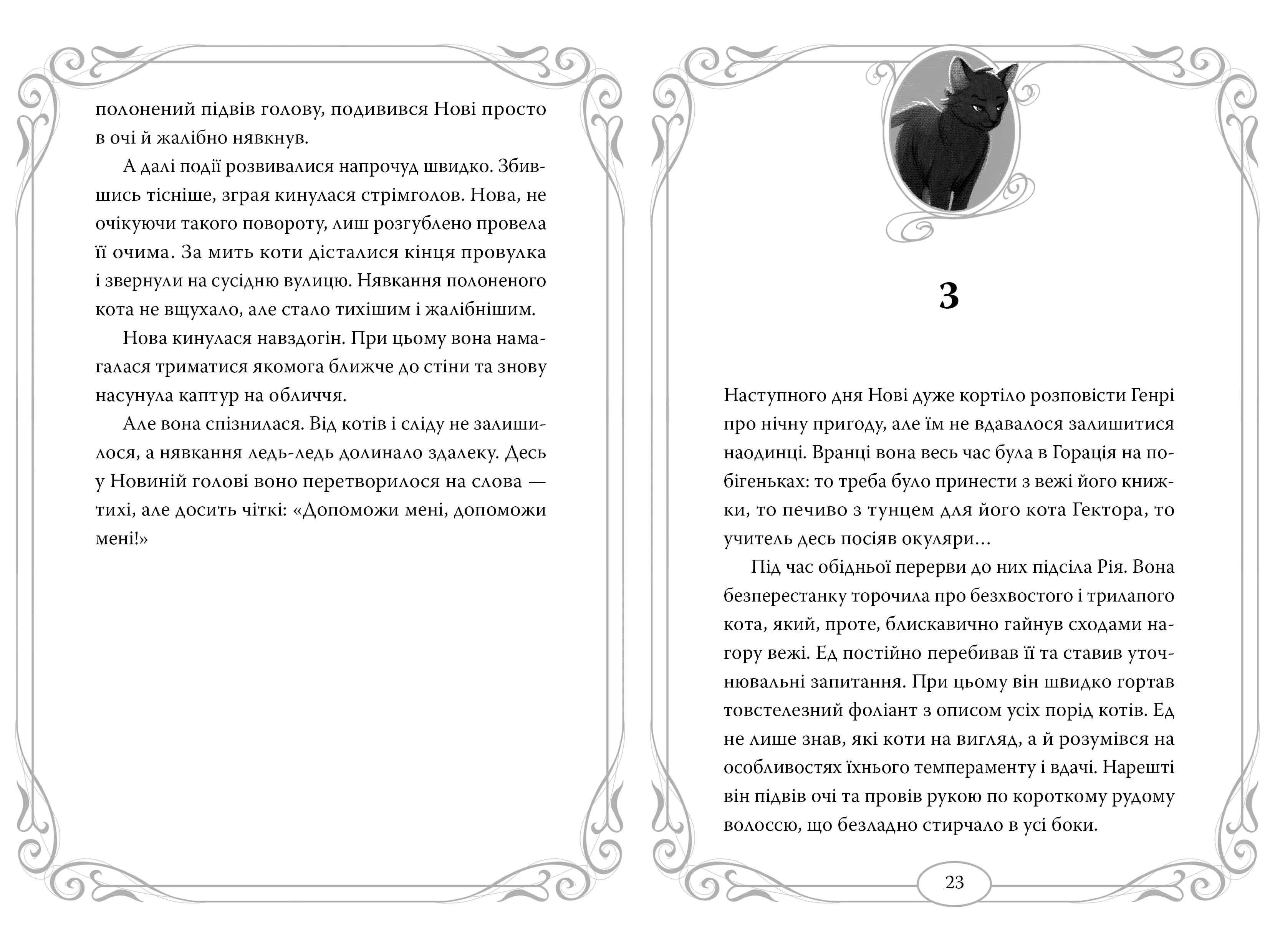 Опівнічні коти. Школа фелідксів. Книга 1 — мініатюра 5