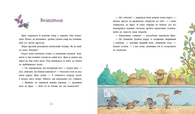 Пакунок із дзьобом — мініатюра 4