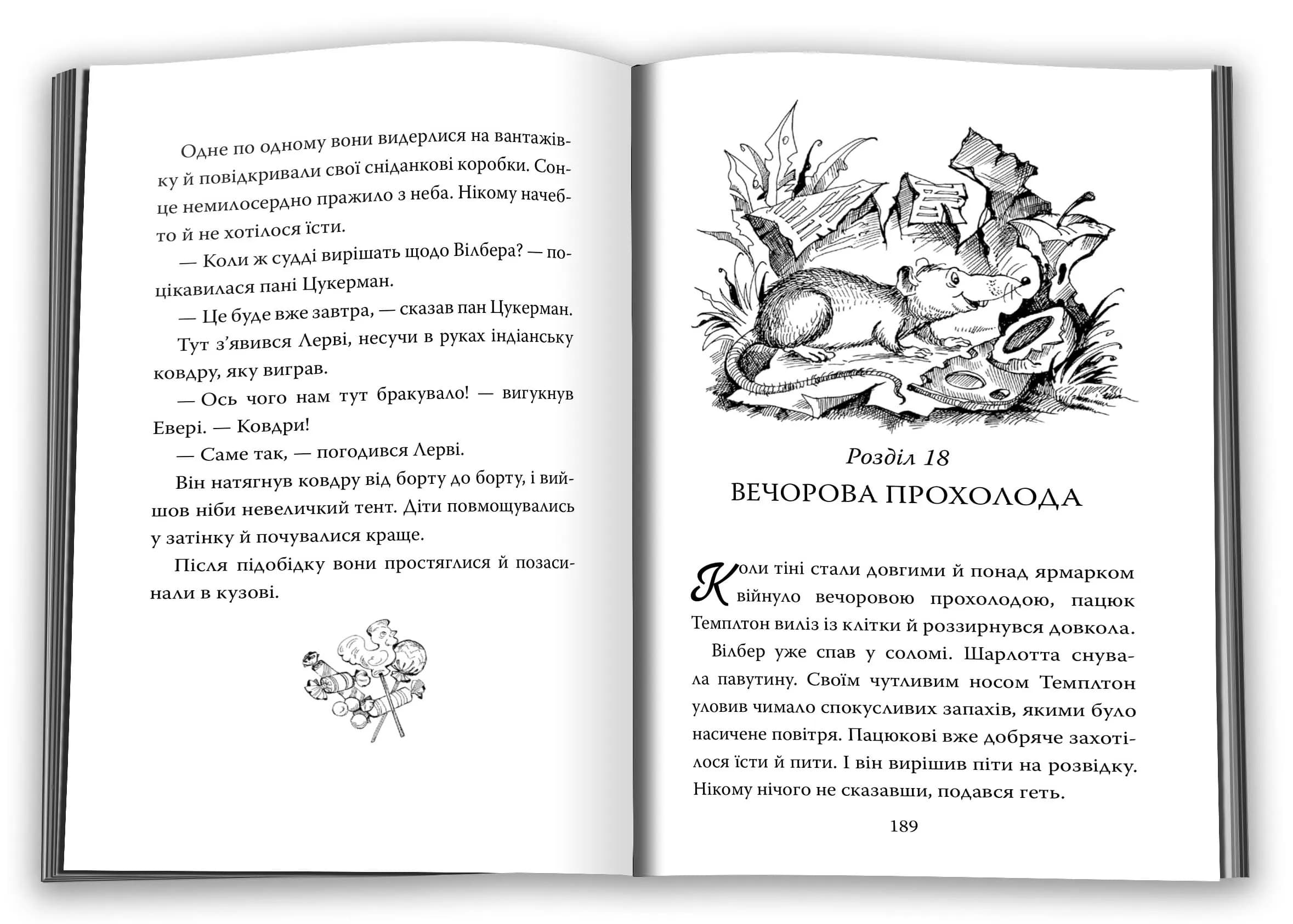 Павутиння Шарлотти — мініатюра 12