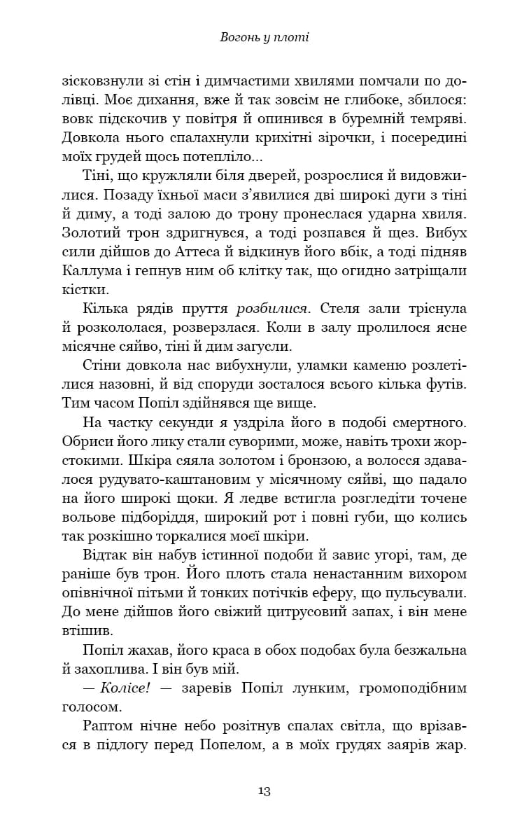 Вогонь у плоті. Плоть і вогонь. Книга 3 — мініатюра 6