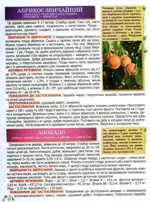 Повний атлас лікарських рослин. Глорія — мініатюра 3
