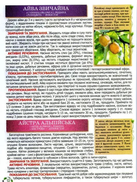 Повний атлас лікарських рослин. Глорія — мініатюра 7