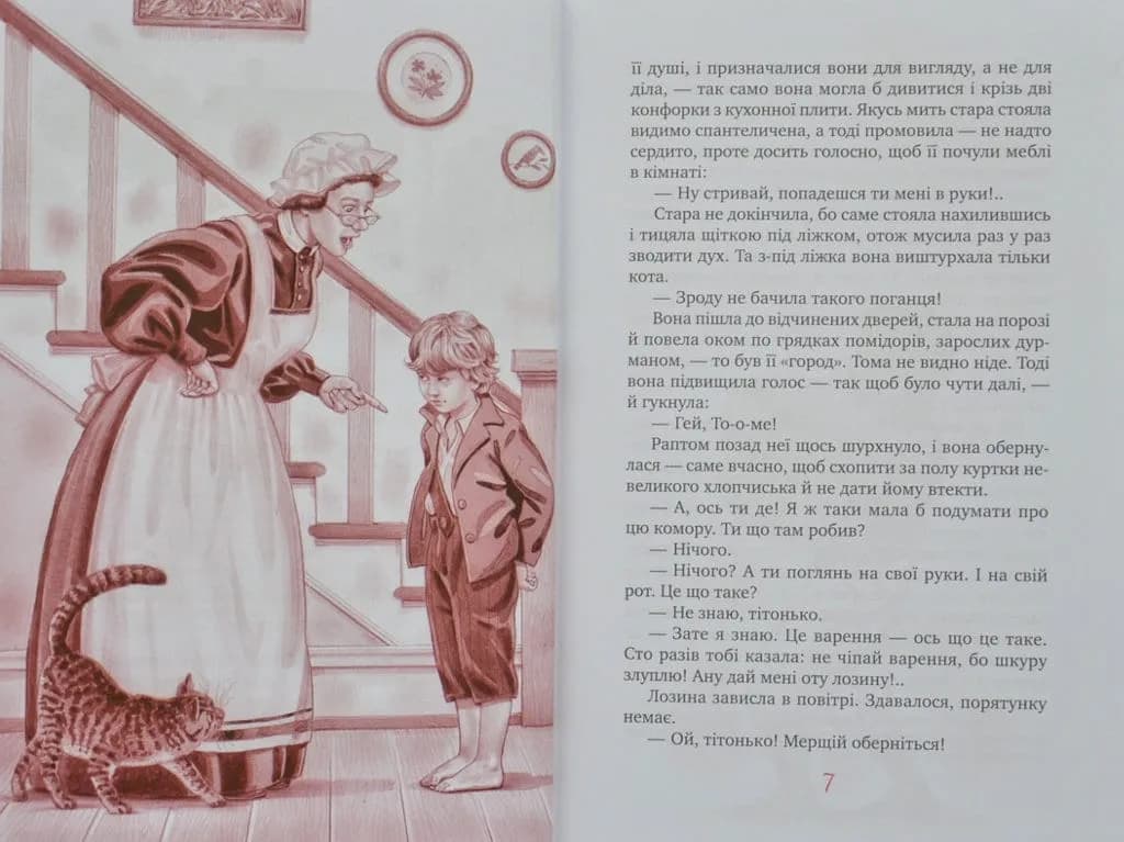 Пригоди Тома Сойєра (Рідна мова, тверда обкладинка) — мініатюра 5