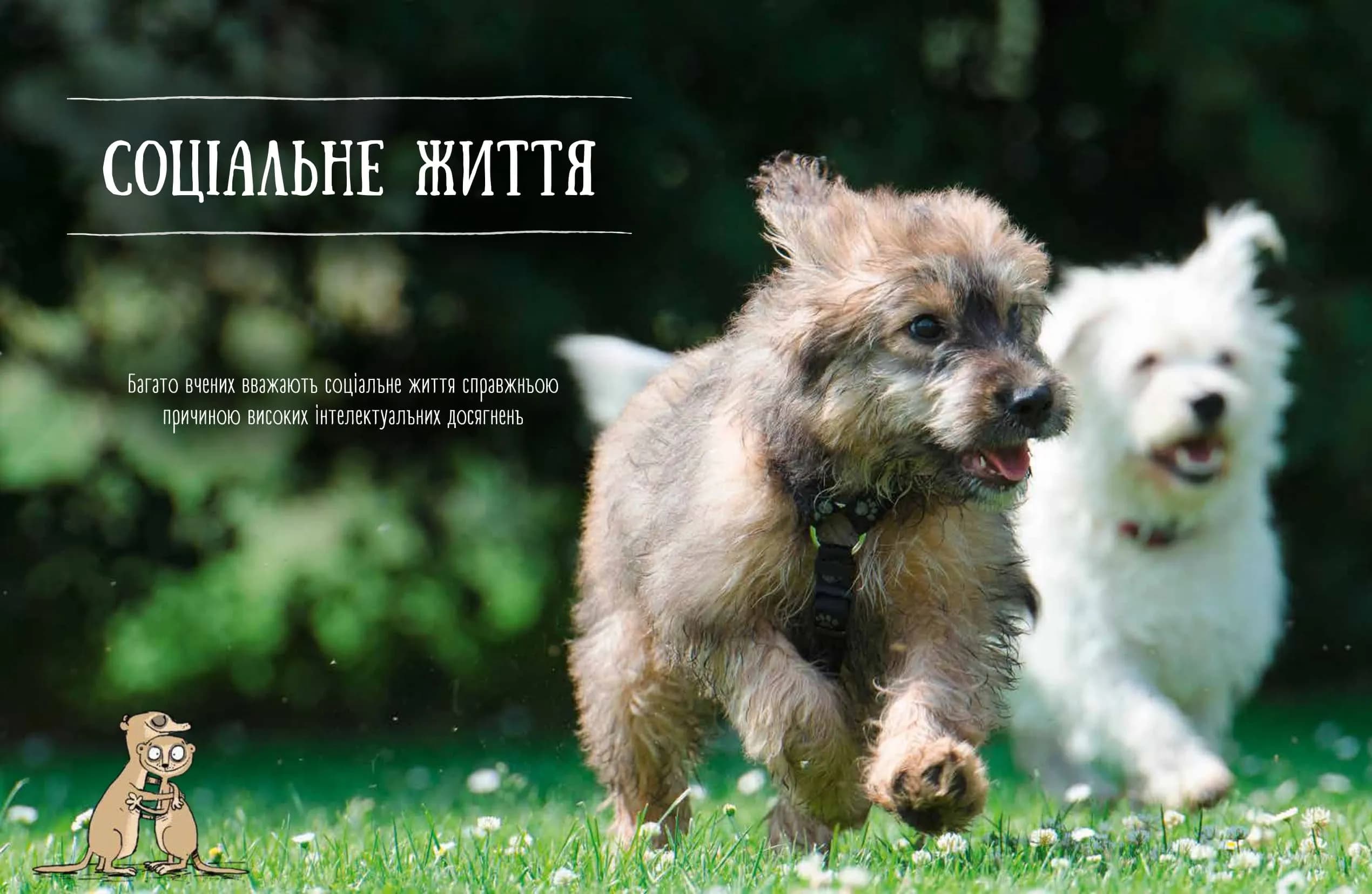 Про мислення і почуття тварин — мініатюра 3