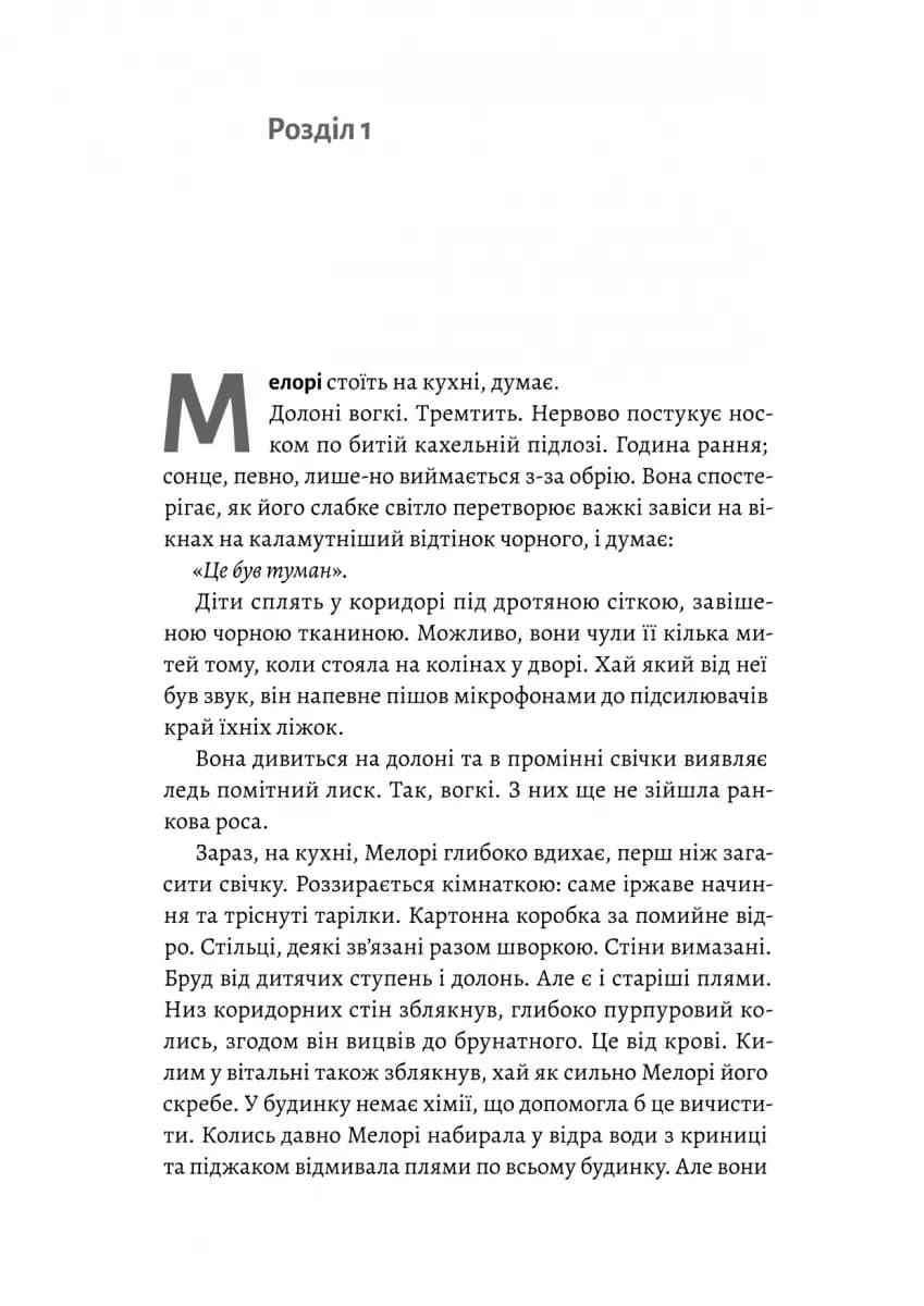 Пташиний короб — мініатюра 2