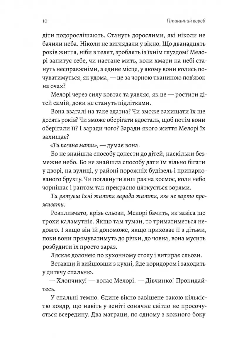 Пташиний короб — мініатюра 5
