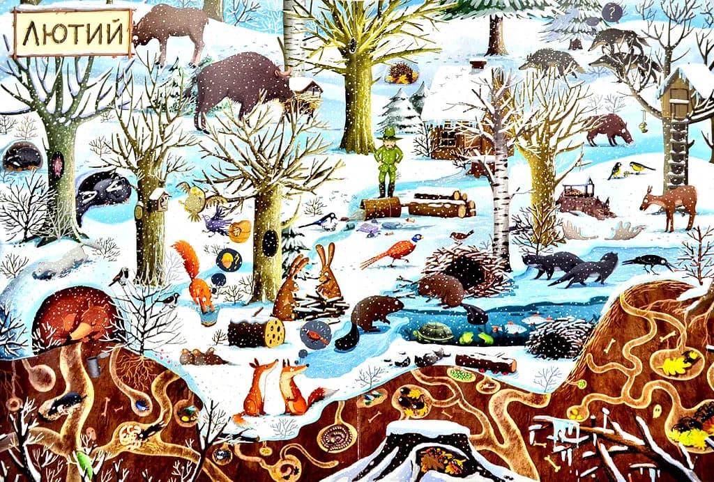 Рік у лісі. Книга-розглядалка (віммельбух) — мініатюра 4