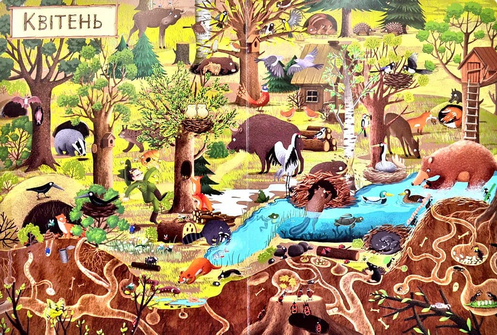 Рік у лісі. Книга-розглядалка (віммельбух) — мініатюра 6