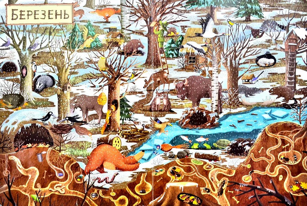 Рік у лісі. Книга-розглядалка (віммельбух) — мініатюра 5