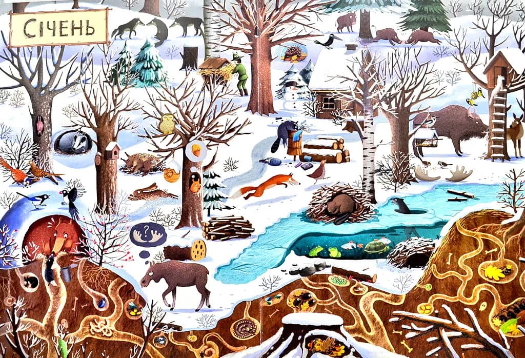 Рік у лісі. Книга-розглядалка (віммельбух) — мініатюра 3
