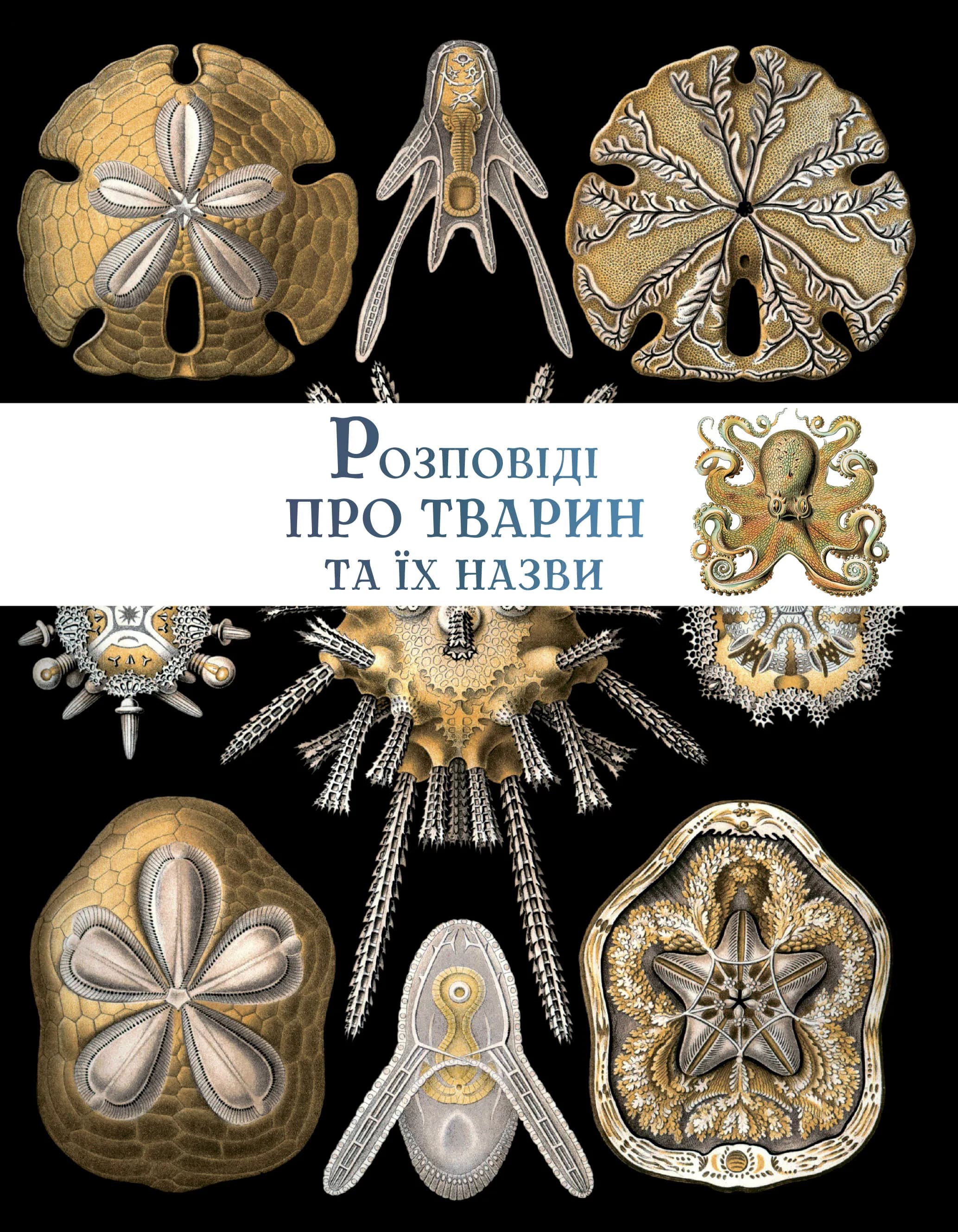 Розповіді про тварин та їх назви — мініатюра 2