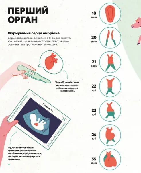 Серце. Історія, наука і багато любові — мініатюра 3