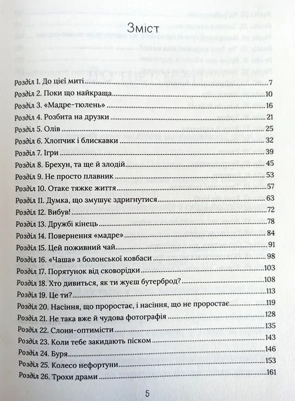 Скоро розпогодиться — мініатюра 2