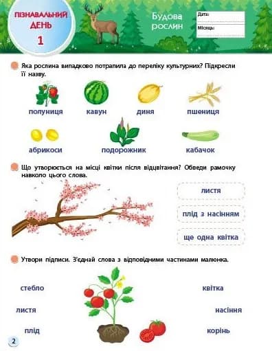 SMARTліто. Іду у 3 клас — мініатюра 2