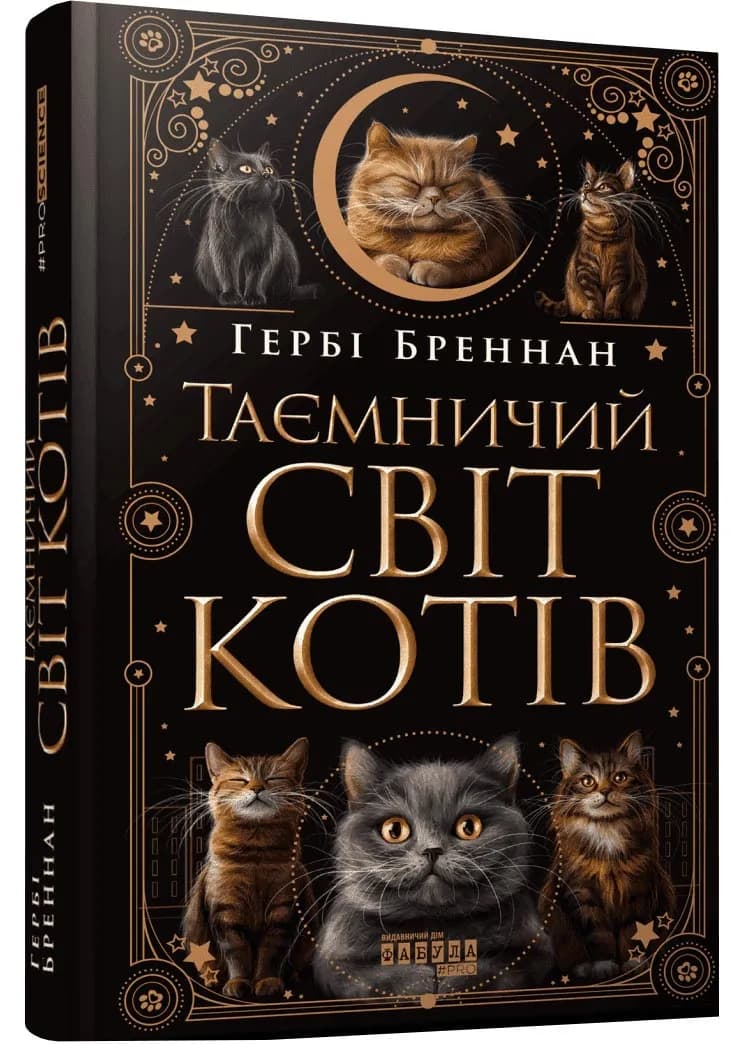 Таємничий світ котів