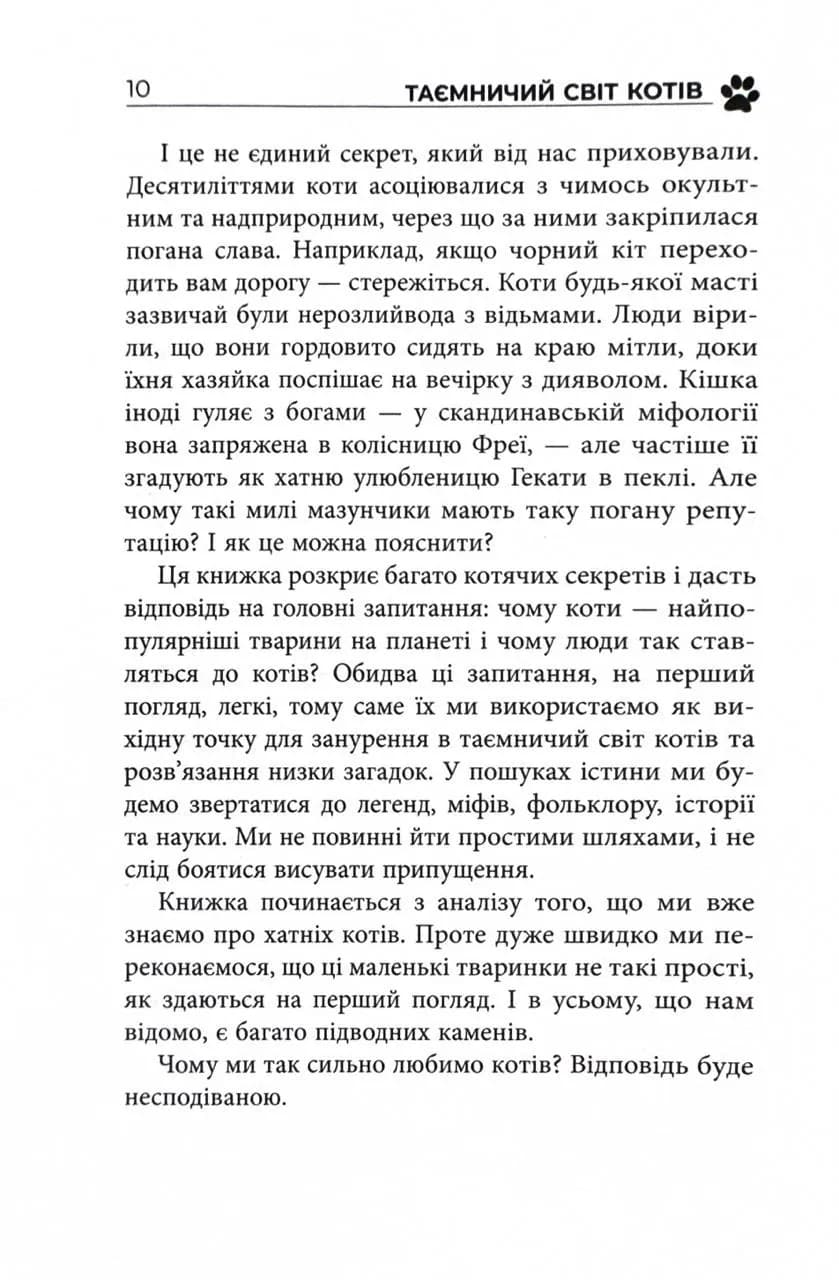 Таємничий світ котів — мініатюра 5