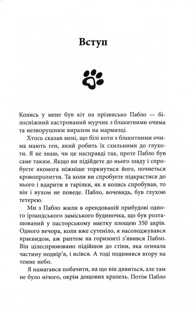 Таємничий світ котів — мініатюра 6