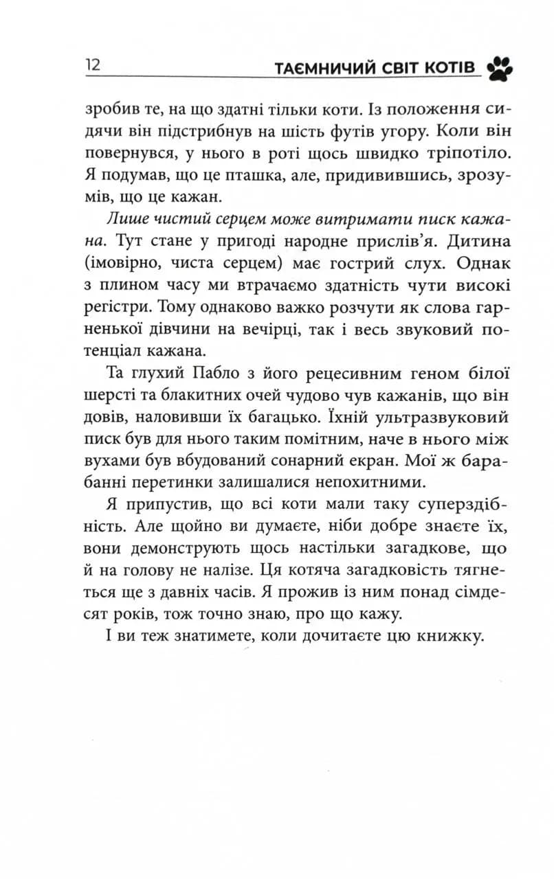 Таємничий світ котів — мініатюра 7