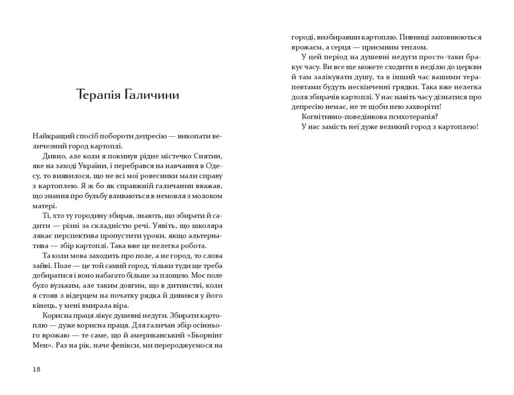 Теплиця для помідорів — мініатюра 10