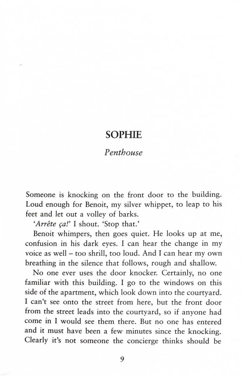 The Paris Apartment — мініатюра 11