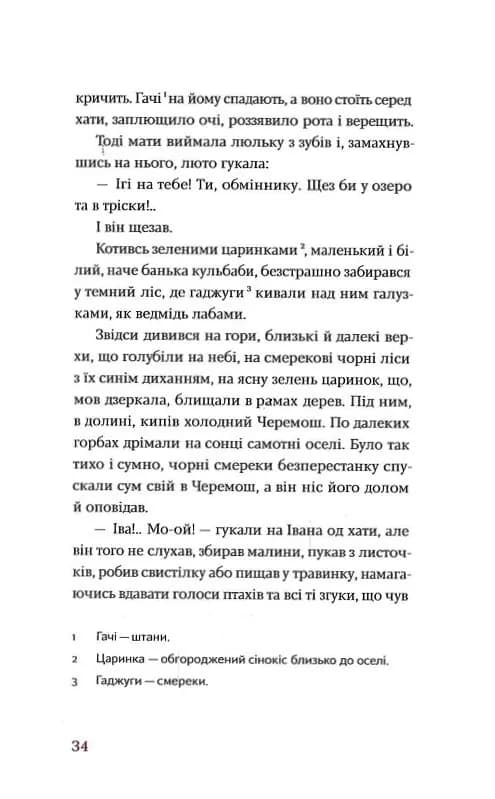 Тіні забутих предків. Новели — мініатюра 6