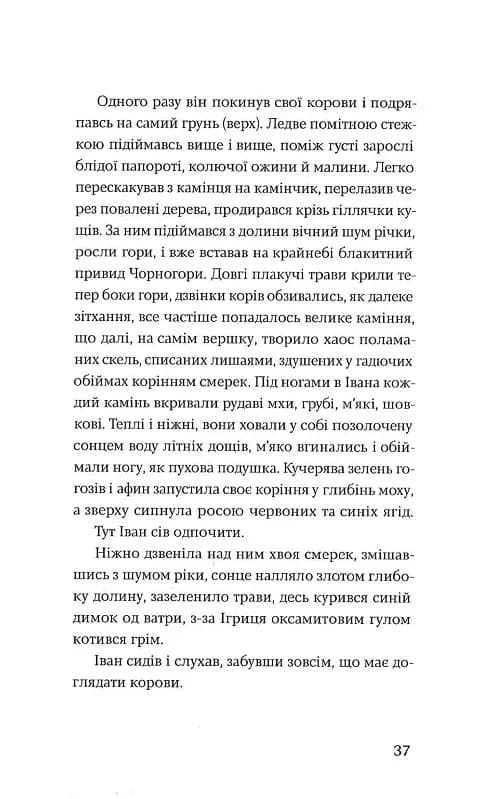 Тіні забутих предків. Новели — мініатюра 9