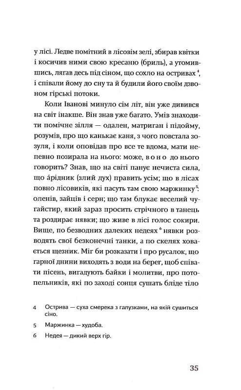 Тіні забутих предків. Новели — мініатюра 7