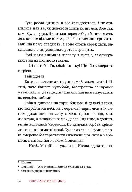 Тіни забутих предків — мініатюра 5