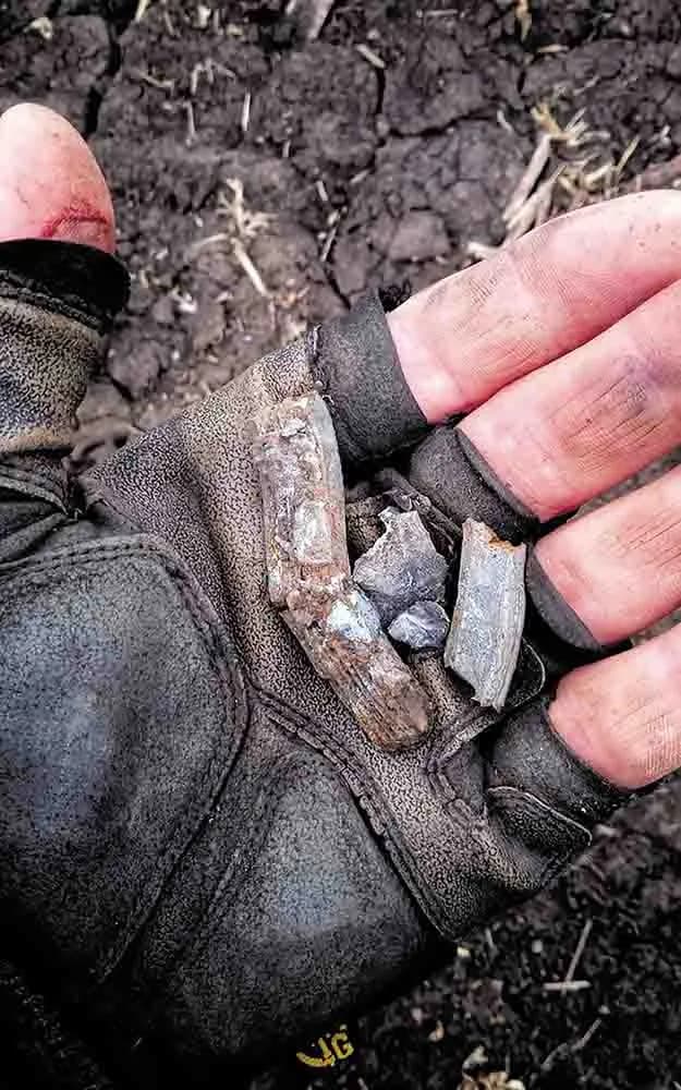 Три медалі в шухляді — мініатюра 5