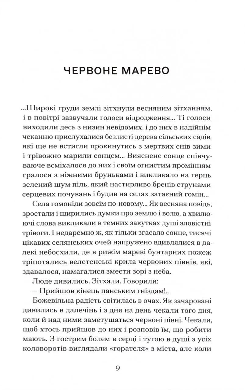 Він кохав сонце — мініатюра 3