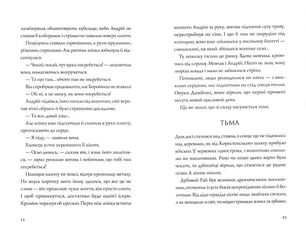 Витязь і Вірлиця — мініатюра 6