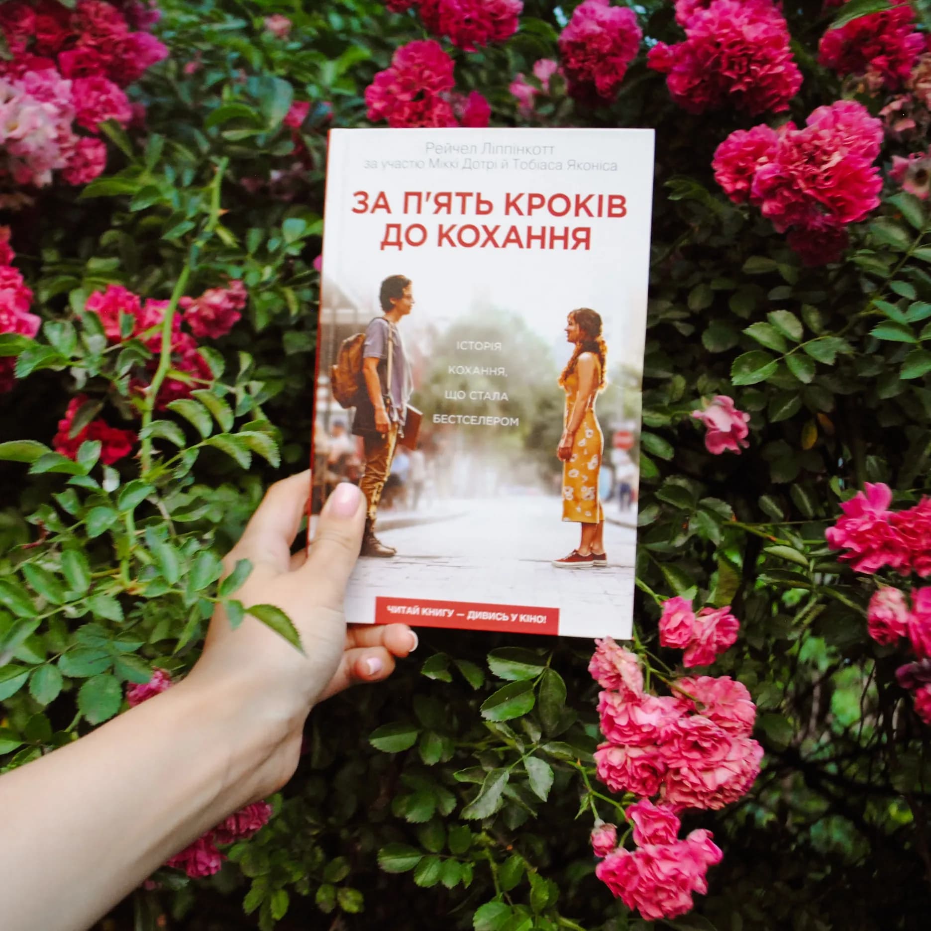 За п’ять кроків до кохання — мініатюра 5