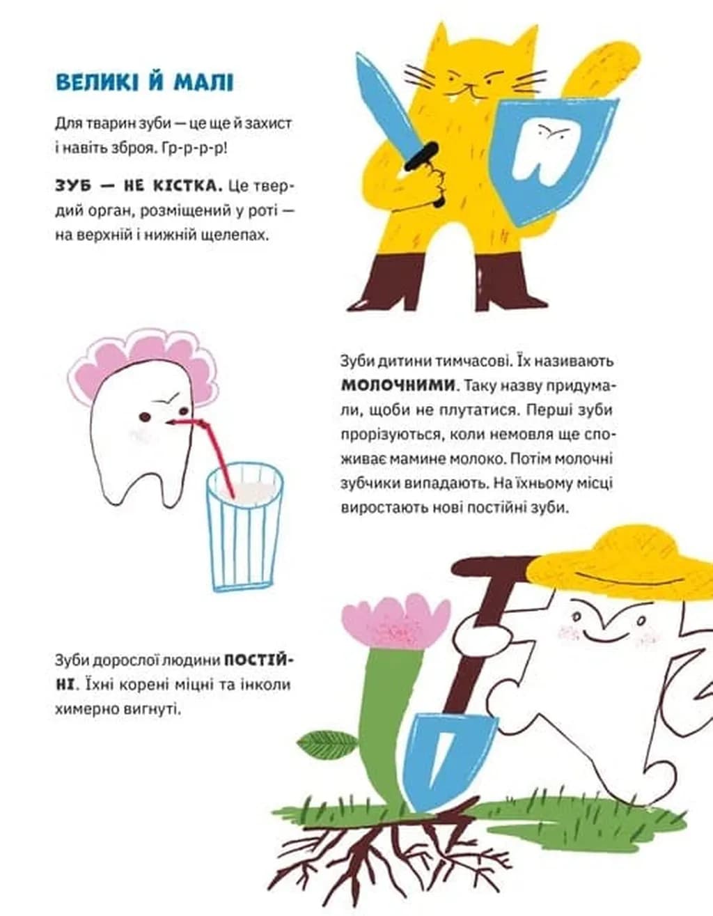 Зуби, зубиська і зубенята — мініатюра 4