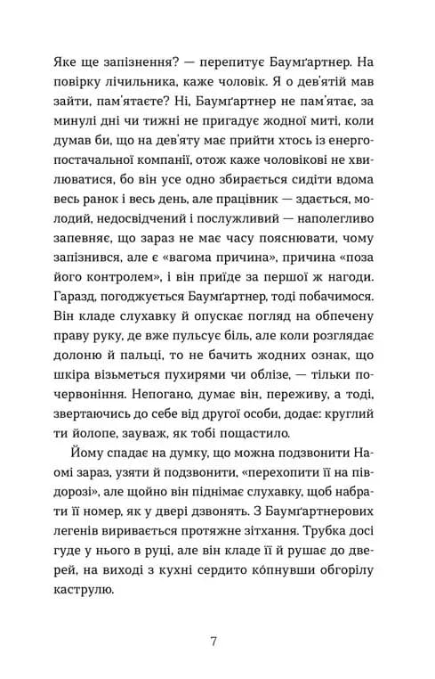 Баумґартнер — мініатюра 4